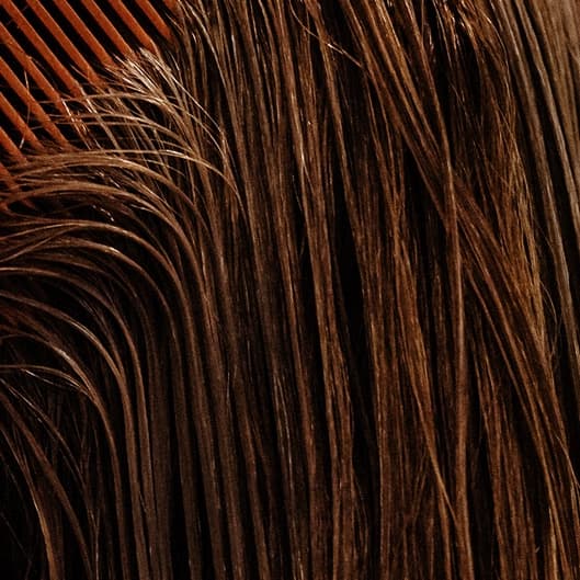 The Ritual for Colored Treated Hair at Heather’s Haven in Pearland, TX